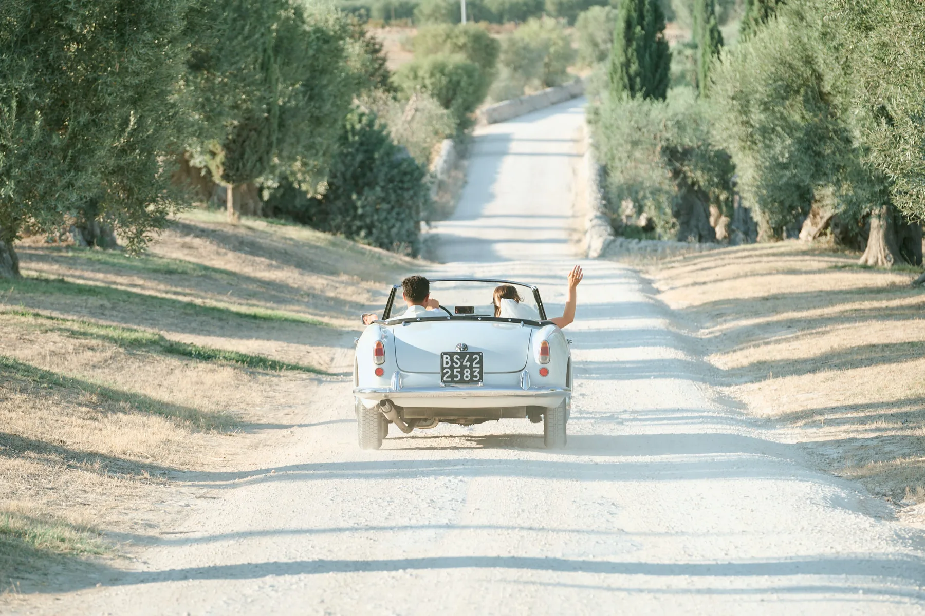 L’auto d’epoca degli sposi sul viale tra gli ulivi