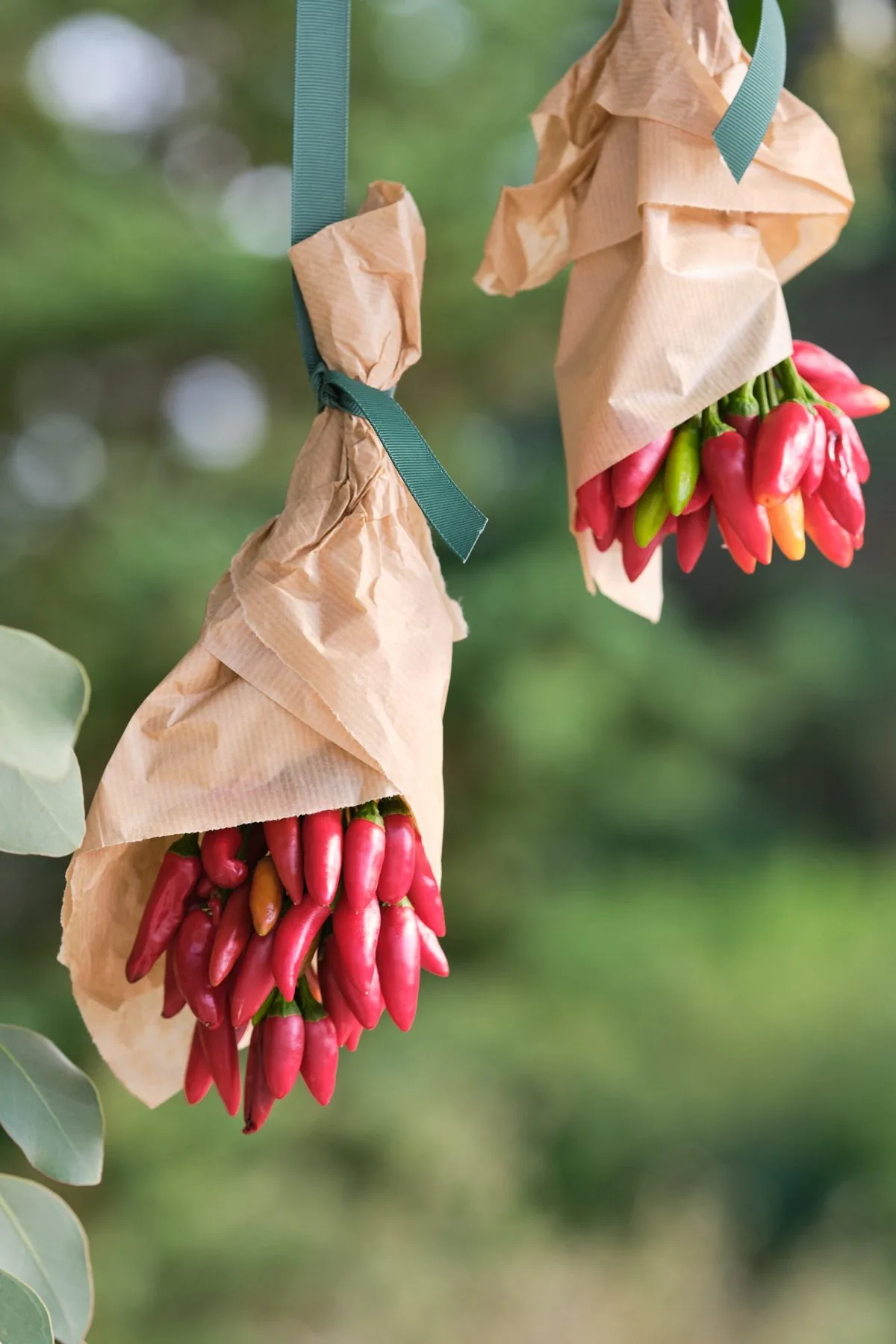 Peperoncini appesi come decorazione rustica, dettaglio
